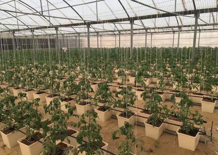 Pp Soilless Hydroponic System Medium 30x25x23cm Beige Dutch Bucket Growing Tomatoes Cucumber Zucchini