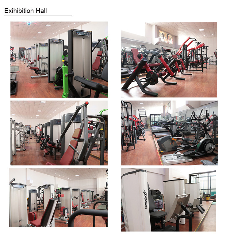 Body Fitness Hammer Strength Plate Loaded Equipment / Biceps Curl Machine