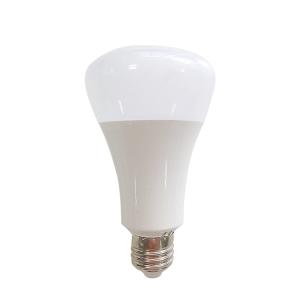 China 5W LED Load Shedding Emergency Bulb rechargeable LED emergency bulb light factory