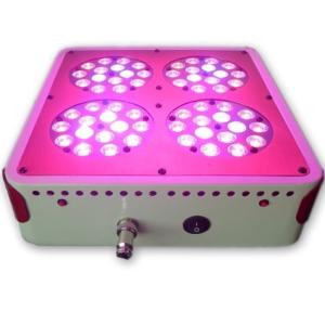 China ebay best sellers grow system hydroponics led gro light mushroom growing factory