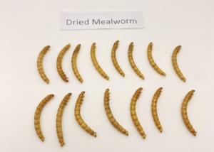 China FDA GMP+ Natural Flavor Mealworms Fish Food 1 Year Shelf Life factory