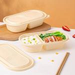 500ml natural 2-grid corn starch food storage container can carry a lunch box