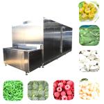 Mango Ding Tunnel 10 Minute Quick Freezing Machine