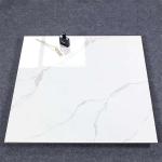 Ceramic Square Porcelain Floor Tiles Floor Wall Tiles 600*600mm