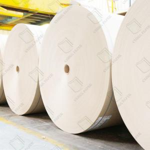 Lightweight Clay Composite Paperboard For Durable Disposable Cups