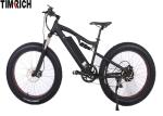 Rear Mounted Brushless Electric Battery Powered Bike TM-BGL-ATV03A 48V750W 8FUN
