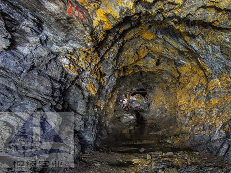 Customized Gold Ore Mines Process Line