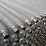 DELLOK Air Cooler Seamless Length 18m Bimetal TP304 Extruded Fin Tube