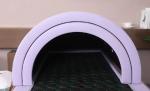 Beauty Salon FIR Far Infrared Sauna Dome for Detoxification 100V-120V