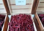 Halal Approved S4 Replacement New Generation Dried Red Chilli Peppers 50000SHU