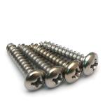 SS AISI 410 Stainless Steel Phillips Drive Pan Head Self Tapping Metal Screws AB