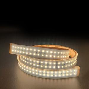 China Waterproof Casing Dimmable LED Strip Lights Glue Dripping SMD 2835 LED Strip factory