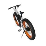 Aluminium Alloy Frame 2 Wheel Electric Bike with 26 Inch Fat Tire