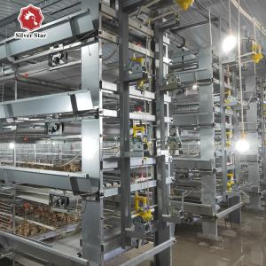 China H One Day Old Meat Poultry Broiler Cage For Chicken Farm factory