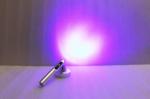 365nm/395nm Wave Length LED UV Flashlight For Pet Scorpion Detection / Money