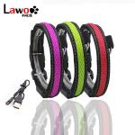 Customized LED Dog Collar Waterproof Luminous Colour Blue USB Rechargeable