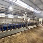 Farms Dairy High Productivity Milking Parlor Equipment Flexible Goat Milking