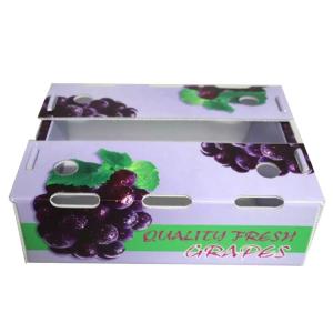 China High-Performance Fruit Corrugated Boxes for Optimal Agriculture Industry Packaging factory