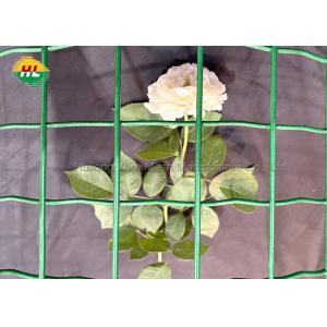 Green Pvc Coated Welded Wire Mesh Fence RAL6005 50.8x50.8mm Mesh Opening