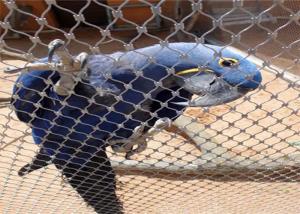 China Customizable AISI 316 304 Stainless Steel Aviary Mesh For Bird Habitats factory