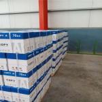 Offset Printing Compatible A4 Copy Paper Jumbo Roll with Wood Pulp 70gsm to