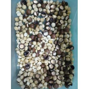 6 Chute Nuts Color Sorter LED Light Self design high frequency ejectors