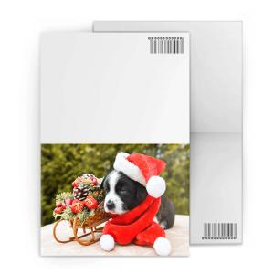 China New Year Greeting Custom Lenticular Cards PET / PP CYMK Lenticular Image Printing factory
