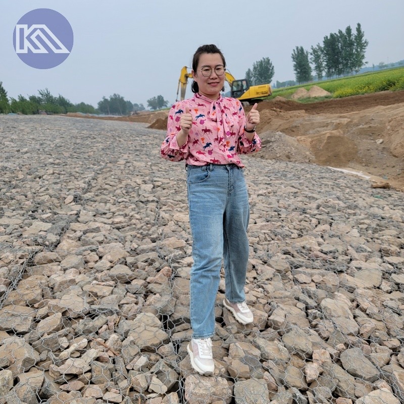 Standard Gabion Baskets For Constructing Retaining Walls Vegetation And Water Management