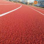 Factory Price Anti-Aging Athletic Running Track Indoor and Outdoor Synthetic