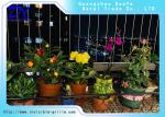Stainless Steel Railing Balcony Grill Design System