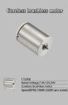 Faradyi Customized 17*22mm High Speed Coreless Motor BLDC 5V 7.4V 12V 24V