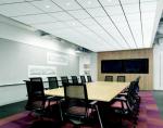 Decorative Suspended Ceiling Panels Perforated Neutral Package Or Wooden Pallet