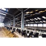 Steel Metal Sheds Cow Pig Houses Prefab Poultry House Roller Door Construction
