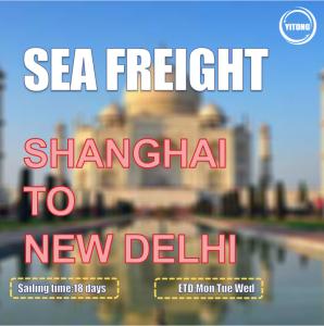 China Fast Sailing 18 Days International Sea Freight From Shanghai To New Delhi India factory