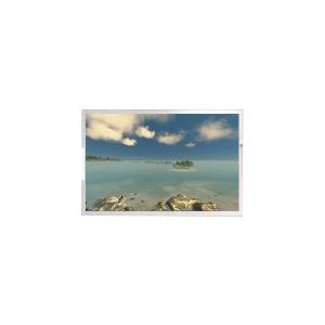 China 10.1 Inch 1920*1080 LCD Monitor Screen AV101FHT-T10-28P0 factory