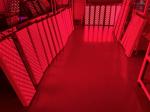 High Irradiance 600W PDT Machine 120pcs LED Red Light Therapy
