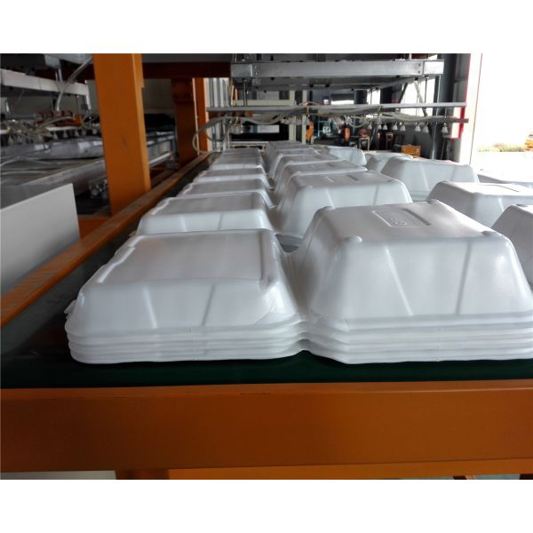 China Styrofoam PS Foam Food Container Thermoforming Machine 1000 / 1250mm factory