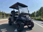 48V / 72V ESP Street Legal Golf Cart with NAVITAS Motor and controller