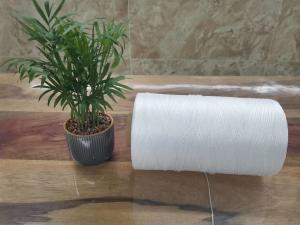 China PP Farm Cooking Twine Nm 4.8 String 1mm Thickness Twisted 100% Polypropylene factory