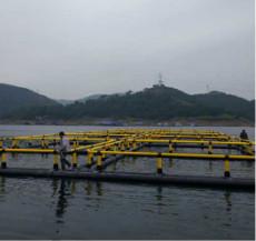 China Diameter 10-40m Floating Cage Fish Farming DN250-DN400 factory