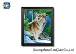 Fashionable 3D Effect 5D Lenticular Printing Picture For Home Decoration