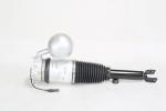ODM Air Ride Volkswagen Struts System for Phaeton Rear 3D0616001J