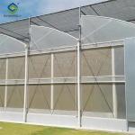Galvanized Steel Gothic Shaped Greenhouse Snow Resistance With Ventilation