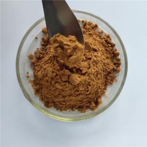 China Persimmon Leaf Extract For Stimulate Appetite factory