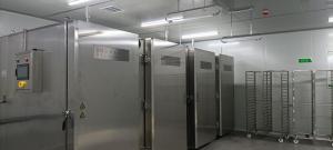 China PLC Cryogenic Freezing Chamber SS304 Large Chest Freezer Minus 120C Fruit factory