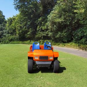 China 1100 / 1150MM 72V Aluminum Chassis Electric Utility Buggy With Cargo factory