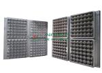 30 Holes Extrusion Egg Tray Or Carton Pulp Mold with CAD Design