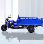 50*100 Chassis Cargo Vehicle Tricycle for Brazil and Algeria Customer Requiremen