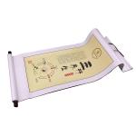 Pendant Five Elements Regimen Acupuncture Map Office Photo Paper High End