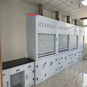 China Efficient and Quiet Chemical Fume Hood Fume Cupboards With Scrubber for Industrial Environments factory